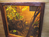 Lepidoptera Enclosure (sold)