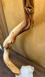Quartz and Juniper Floor Lamp