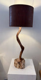 Petrified Wood Table Lamp