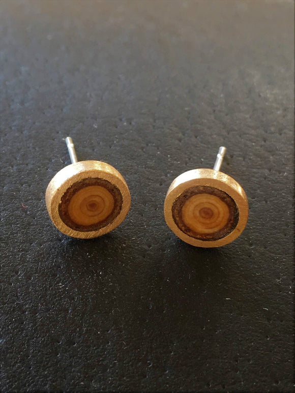 Cedar and Bronze Studs