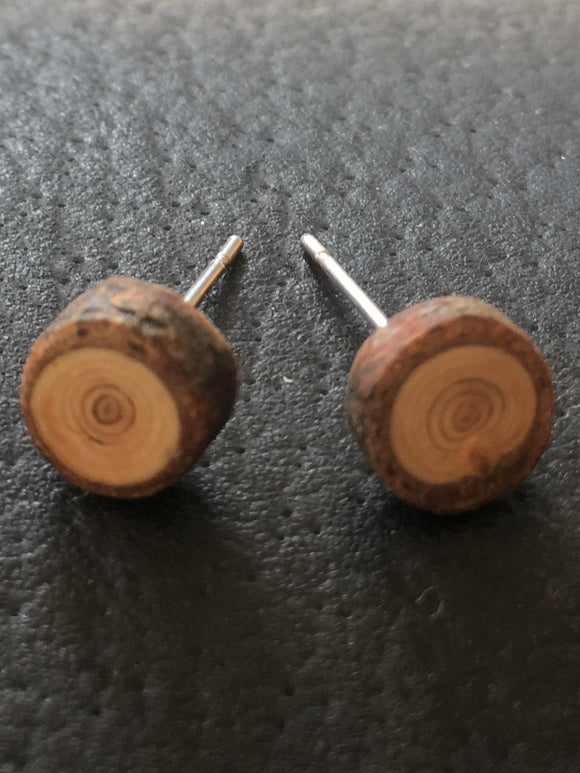 Cedar Round Studs