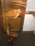 Juniper Lamp with Redwood Burl Table (sold)