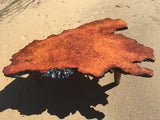 Lace Redwood Burl Coffee Table (sold)