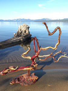 Manzanita Abstract Sculpture (sold)