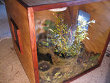 Lepidoptera Enclosure (sold)