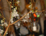 Manzanita and Orchid Wedding Displays (sold)